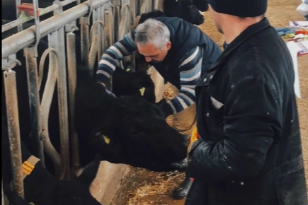 26 ilde hayvan sağlığı seferberliği... Aşılama ve hastalık taramaları sürüyor