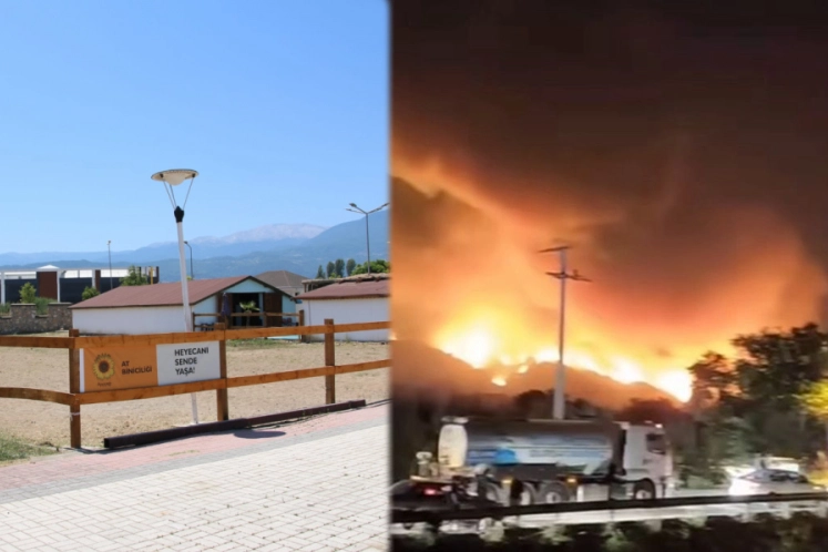 Bursa'da yangından etkilenen hayvanlara el açtılar