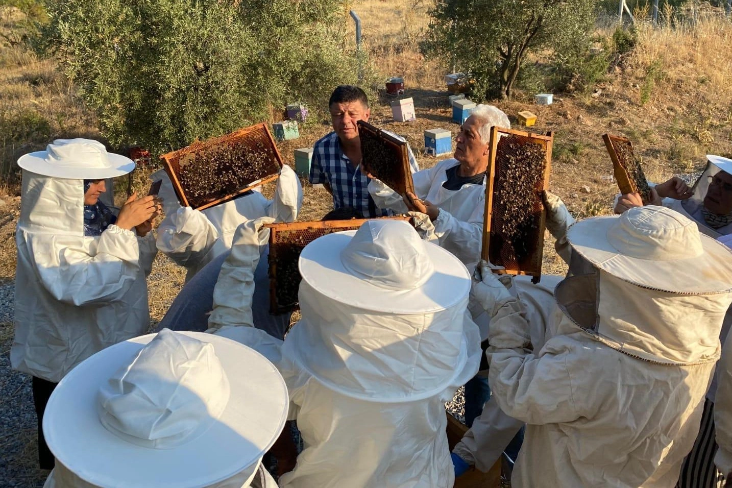 Manisa'da arıcılara uygulamalı eğitim desteği